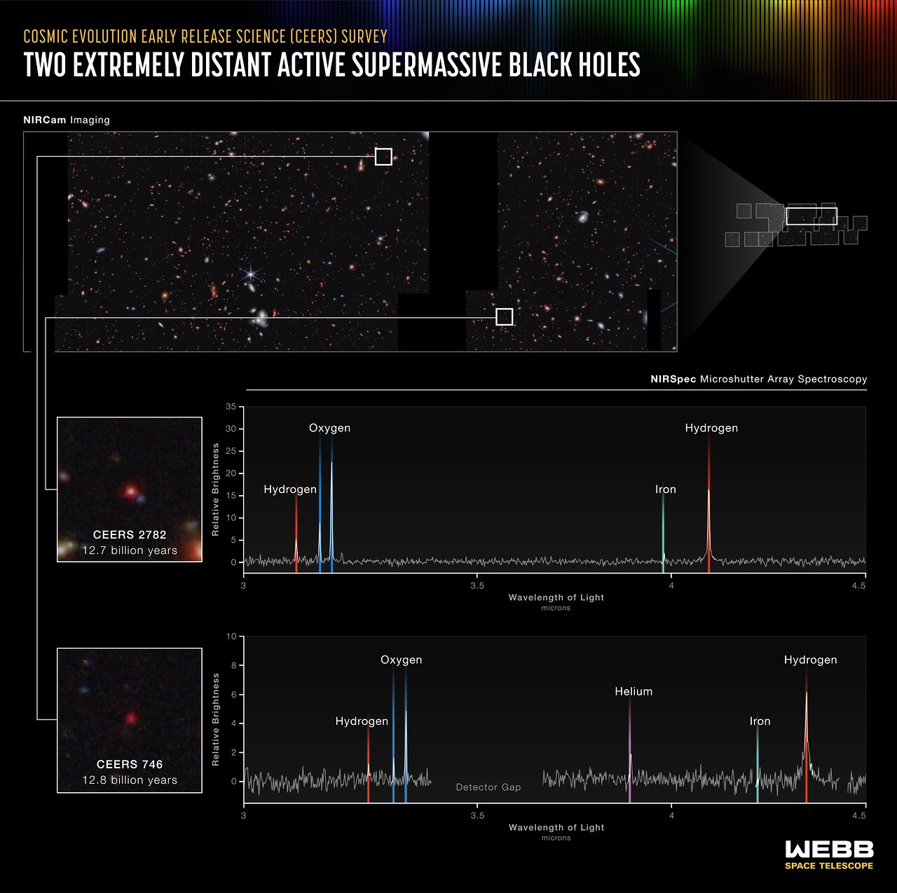 Two extremely distant active supermassive black holes (NIRSpec MSA emission spectra)